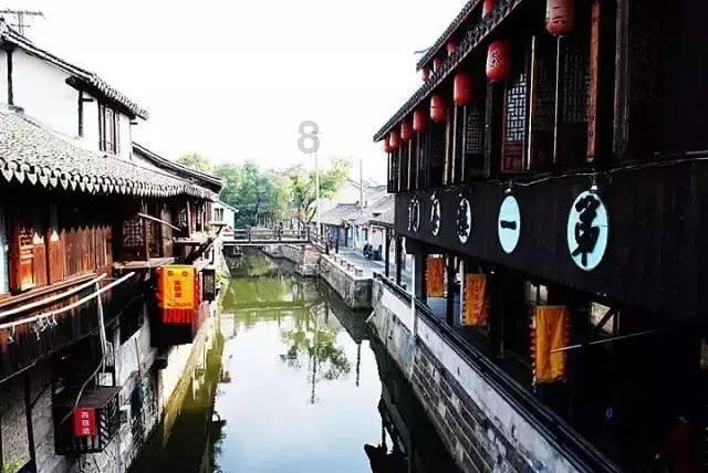 动物帮帮忙保卫家园